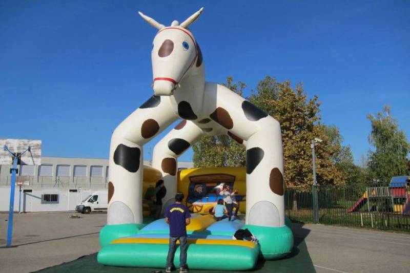 Location Château gonflable Cowboy à Lyon