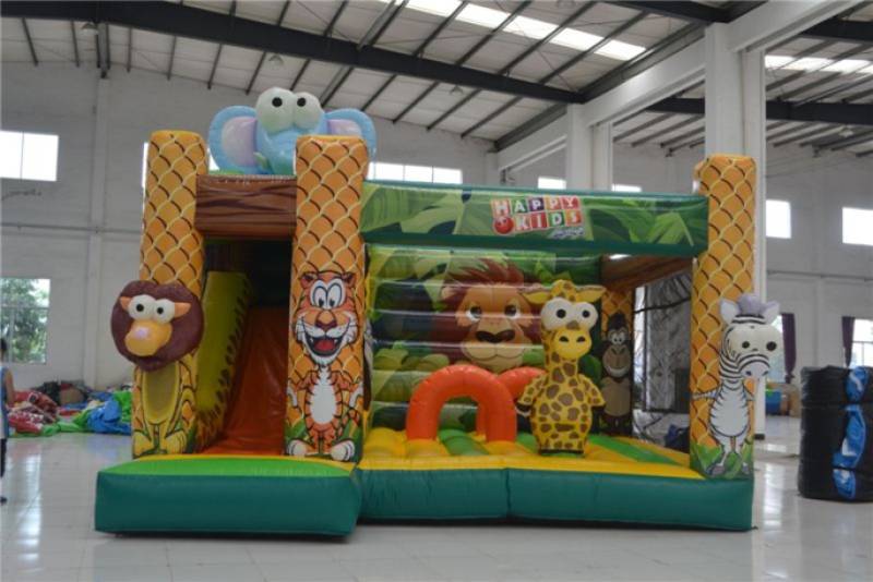 Location chateau gonflable pas cher