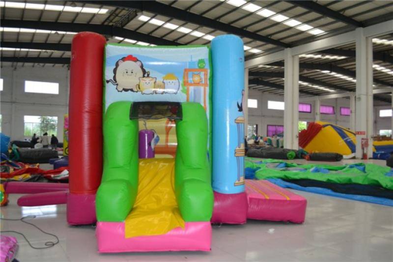 Location Château gonflable Happy Animal (chateau + toboggan) à lyon